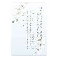 喪中はがき 年賀状じまい文章 私製20枚入り 詳細記入不要 Amazon | 喪中はがき 10枚【年賀状じまい文/詳細記入不要】私製